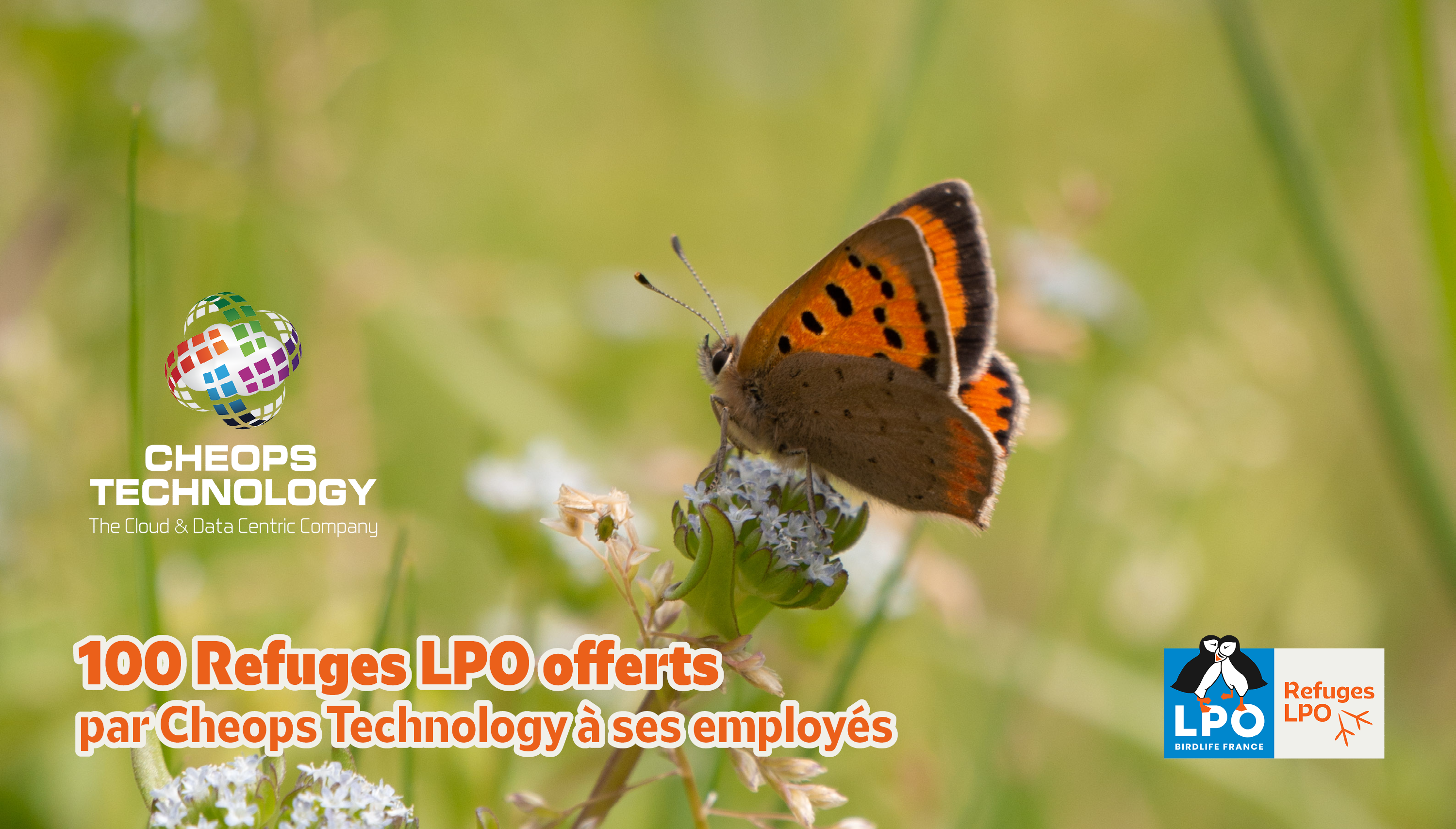 Cheops Technology engagé dans les Refuges LPO